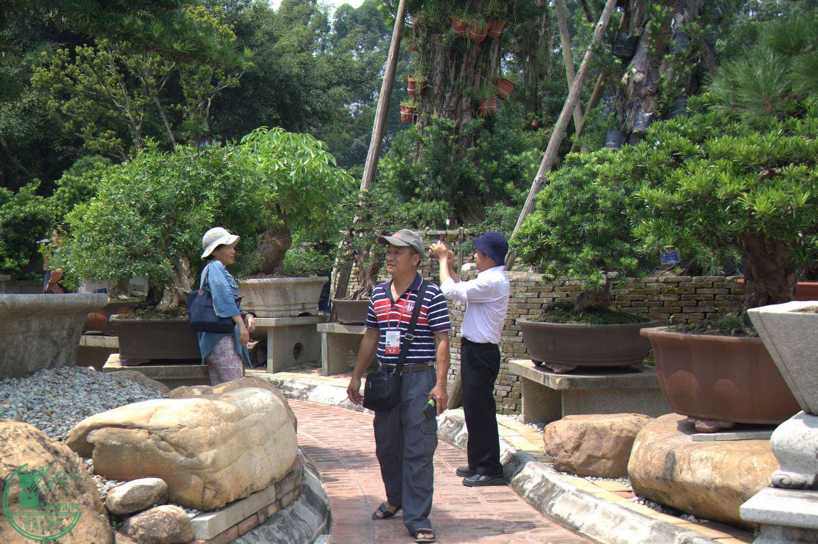 IMG_9642.jpg