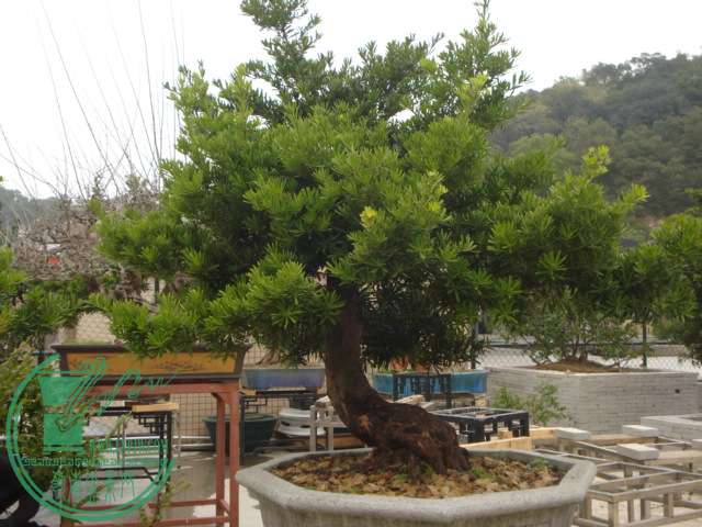 DSC01605.JPG