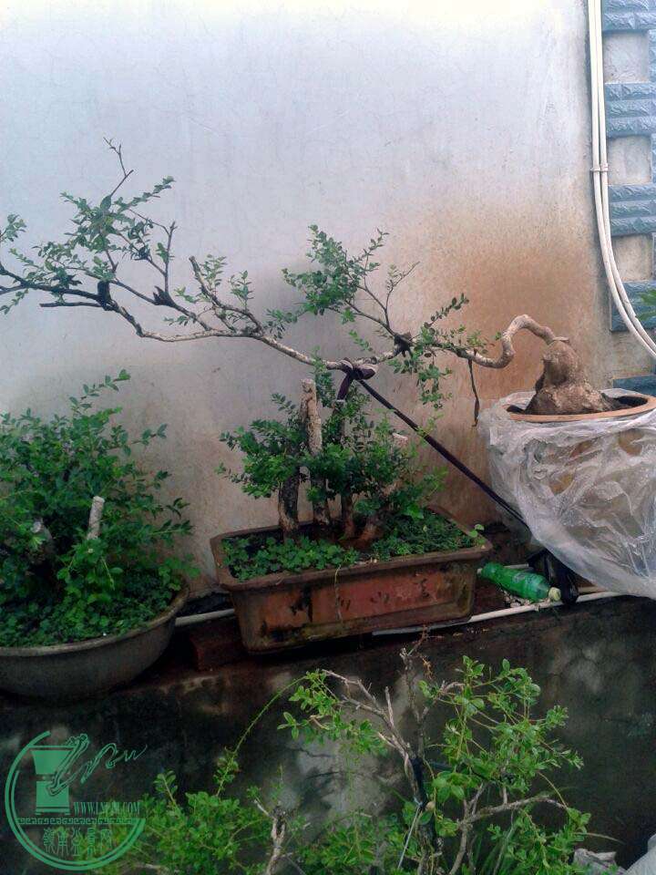 QQͼƬ20151011104742.jpg