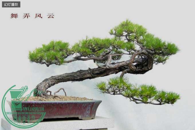 QQͼƬ20140415170145.jpg