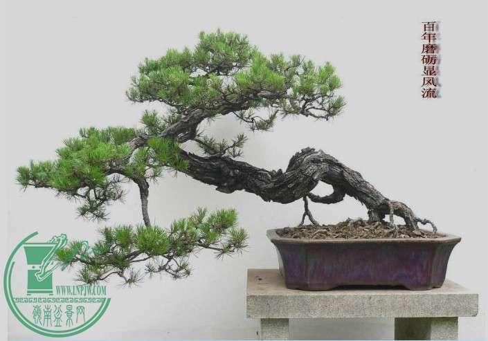 QQͼƬ20140415165941.jpg
