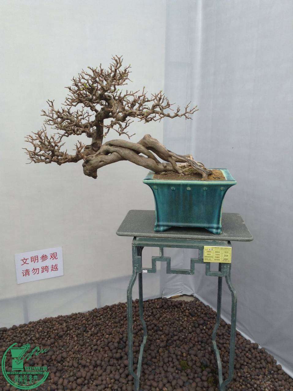 141118ke559vn8jv695xjk.jpg.thumb.jpg