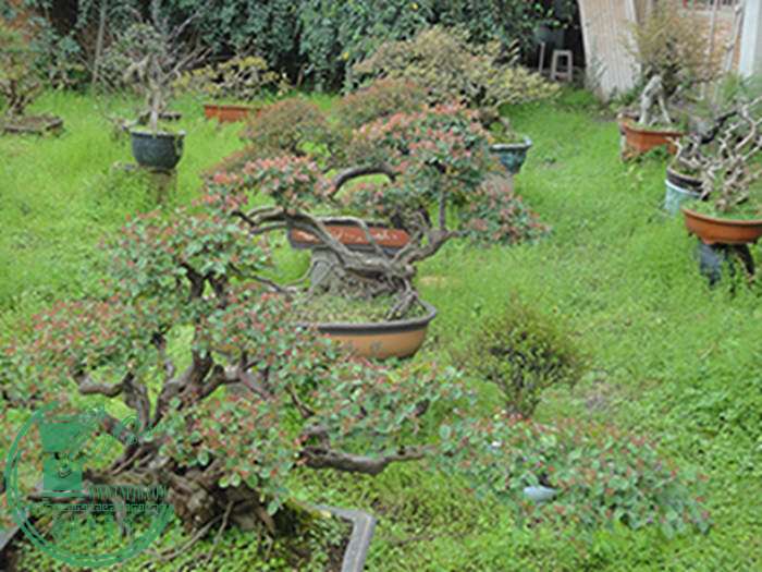 DSC03050.jpg