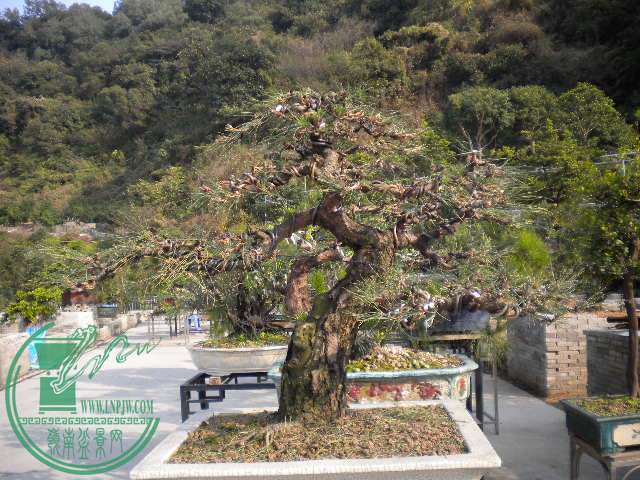 DSCN7723.JPG