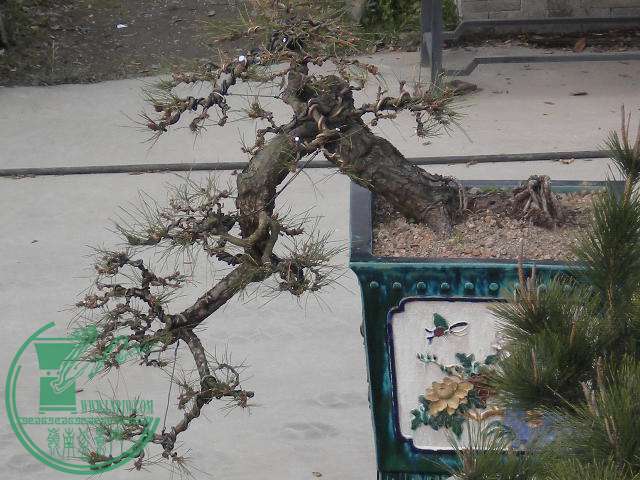 DSCN7758.JPG