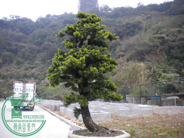 DSCN7737.JPG