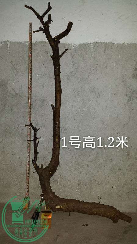 689796