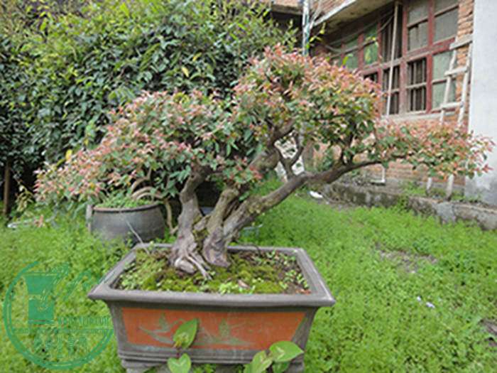 DSC03024.jpg