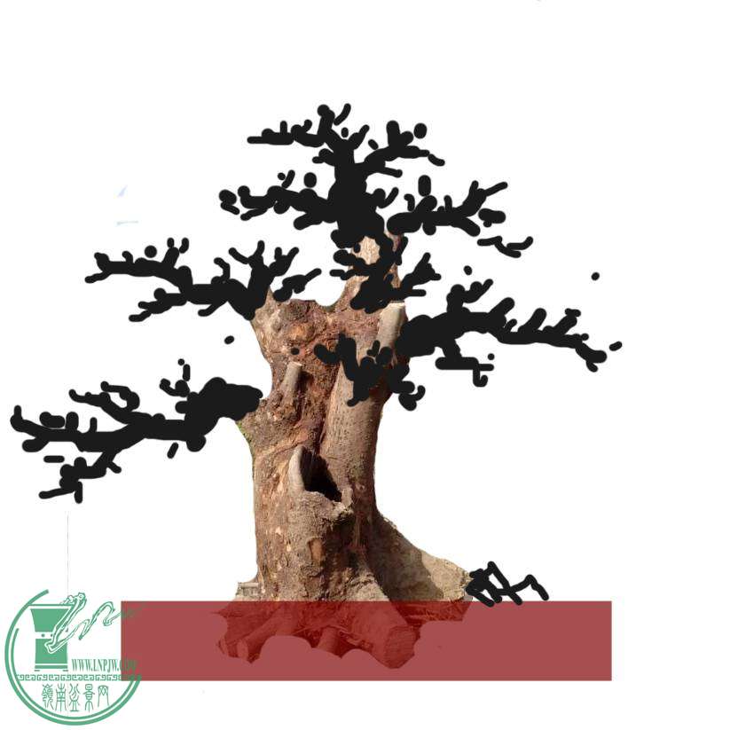 070057baf1u6nfz8lu2da1.jpg.thumb.jpg