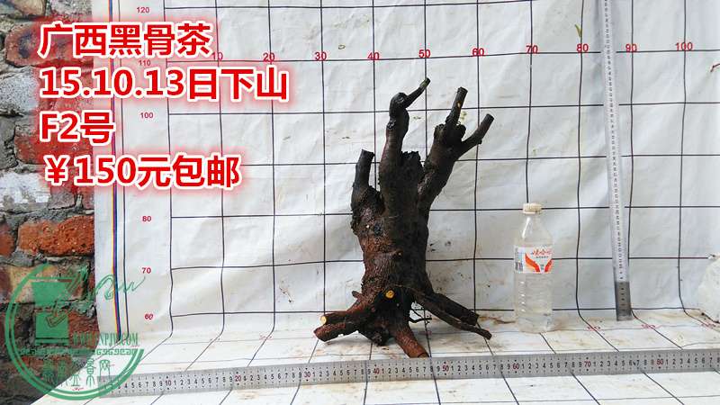 IMG_20151013_123016_.jpg