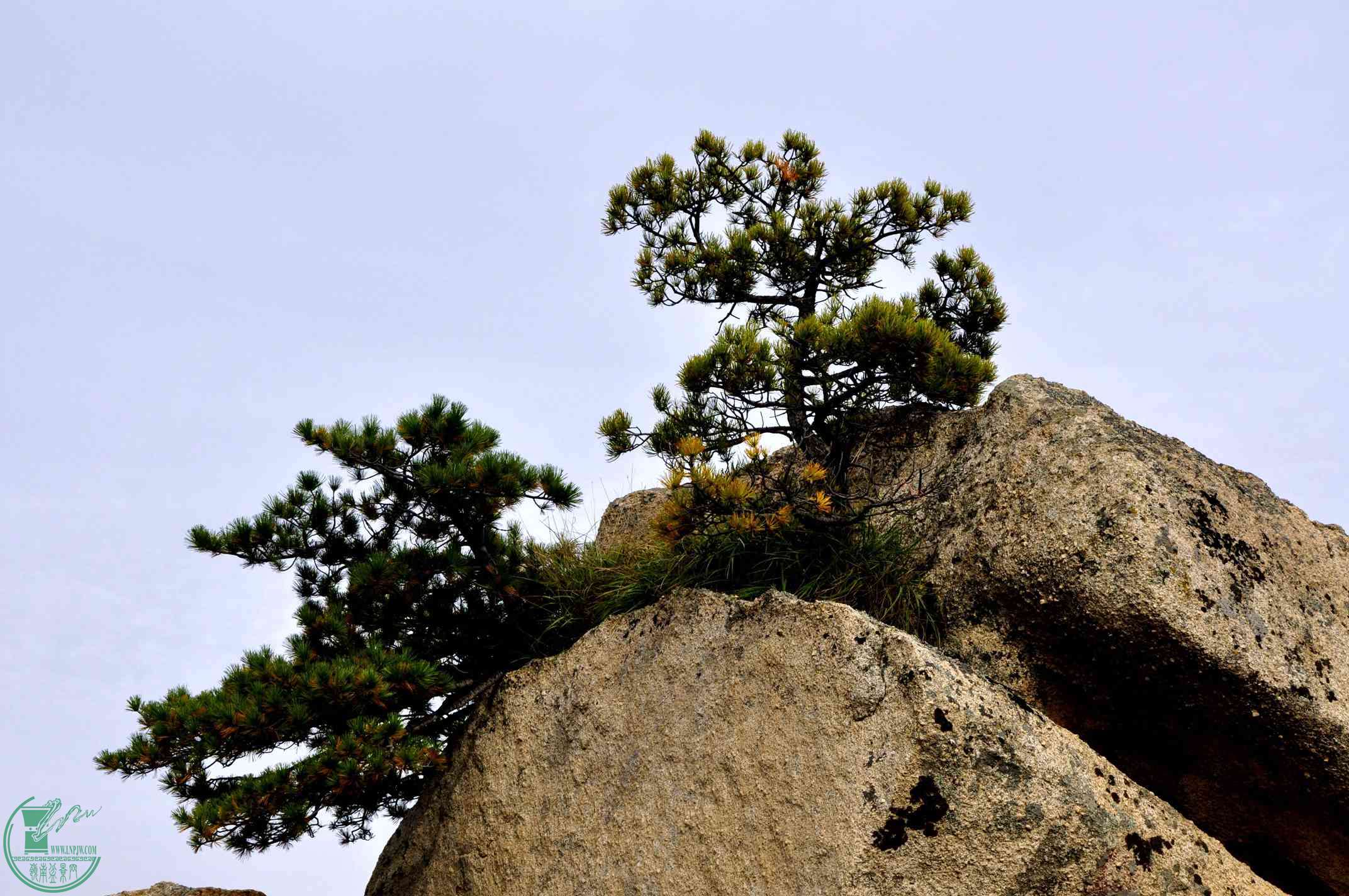 _DSC0900.jpg