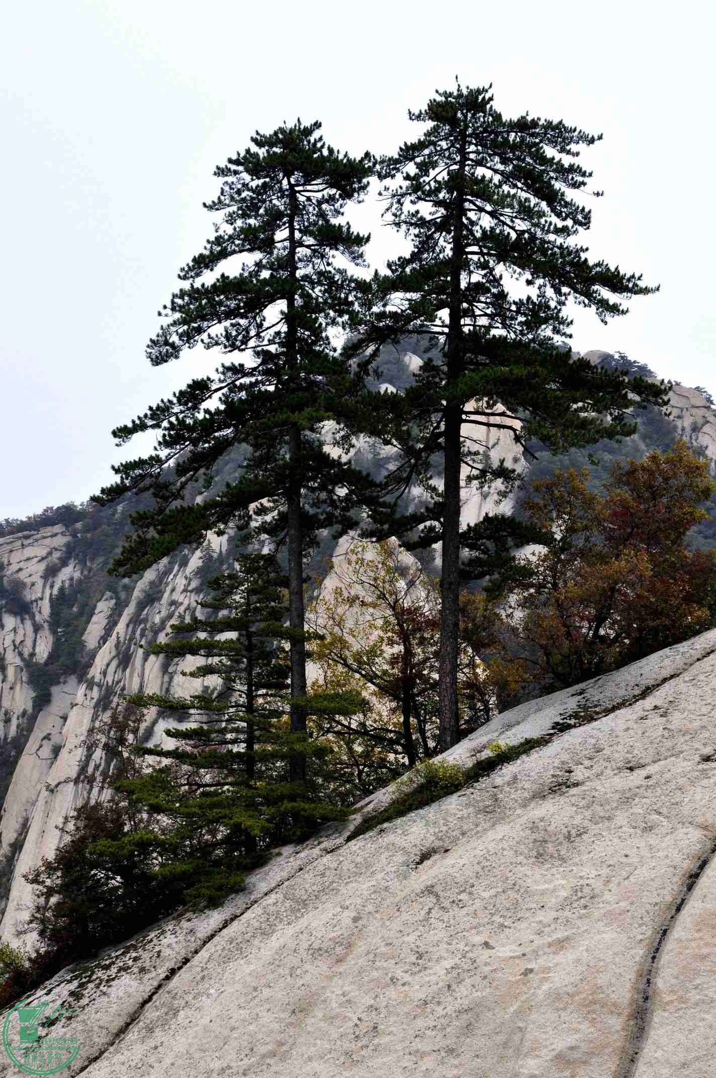 _DSC0954.jpg