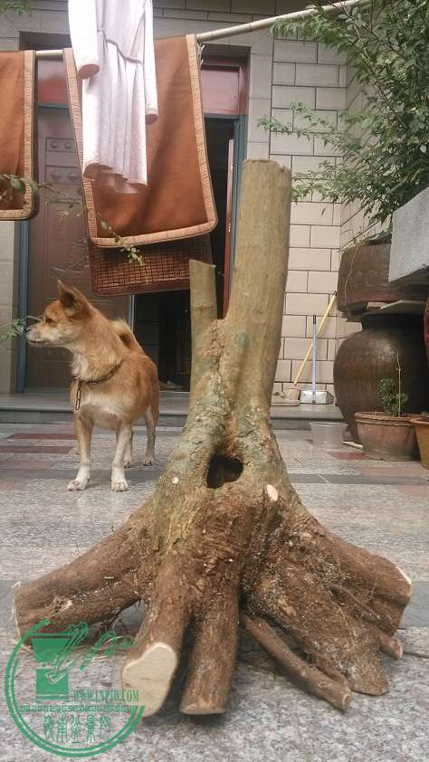 QQͼƬ20151014154446.jpg