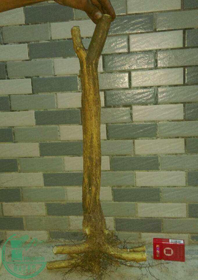 6bf2f6fe68ea201f.jpg