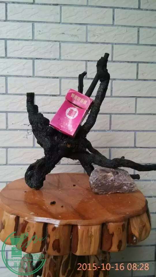 5100