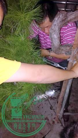 IMG_20151015_220239.jpg
