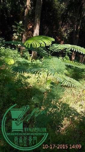 IMG_20151017_140915.jpg