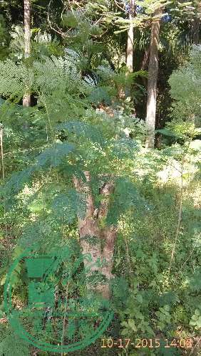 IMG_20151017_140813.jpg