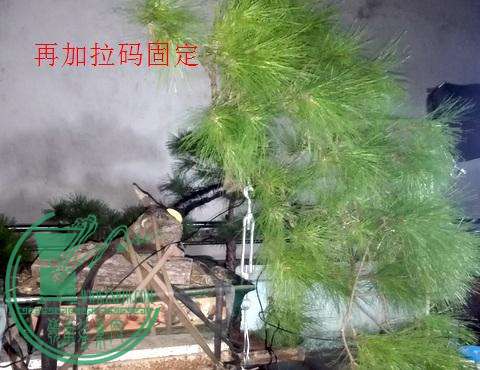 IMG_20151016_214551.jpg