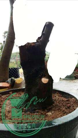 2015-10-05 17.39.08.jpg