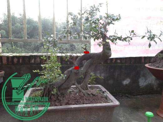 204105g1517y4nptq7enht.jpg.thumb.jpg