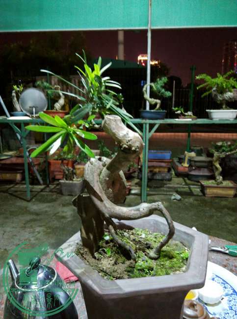 IMG_20151012_230648_HDR.jpg