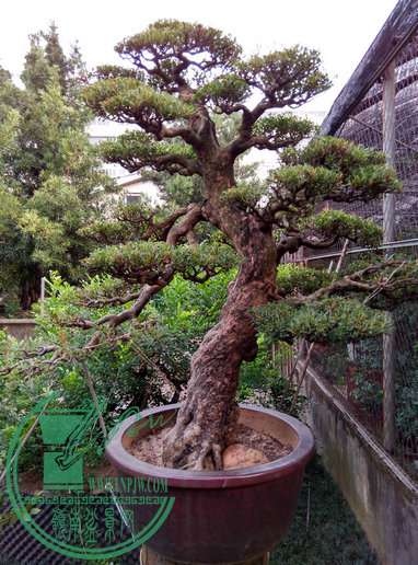 IMG_20150922_174511_HDR.jpg