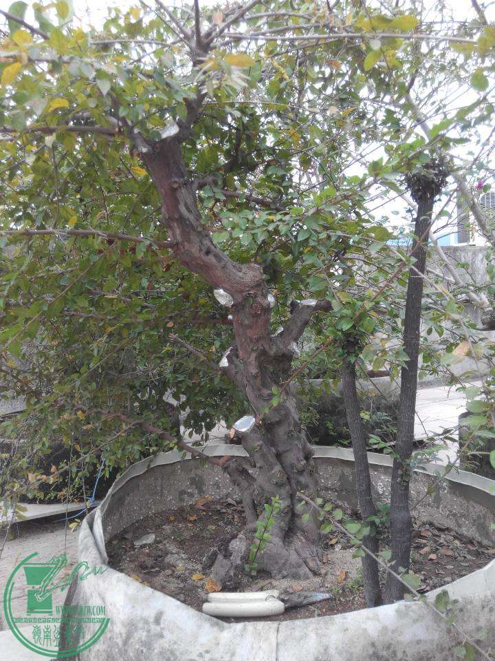 rps20151020_132507.jpg