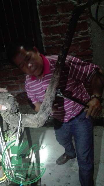 IMG_20151019_211113_1_BURST004.jpg