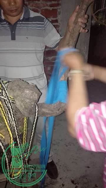 IMG_20151019_211634.jpg