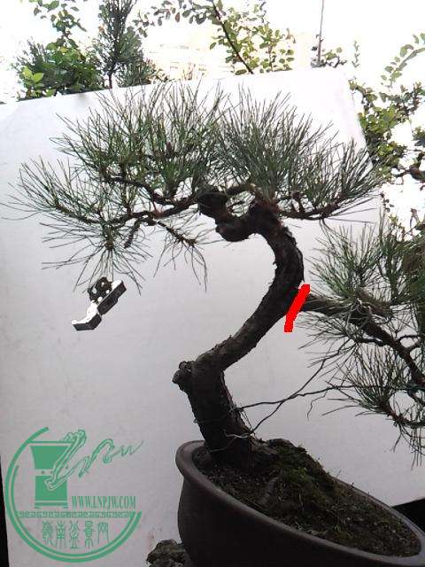 20151019_160337.jpg