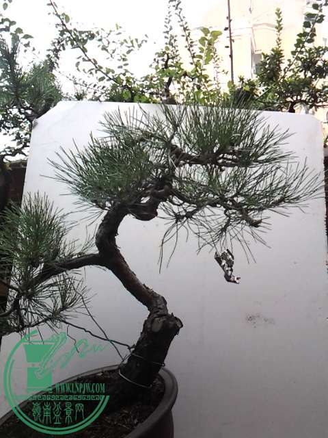 20151019_160218.jpg