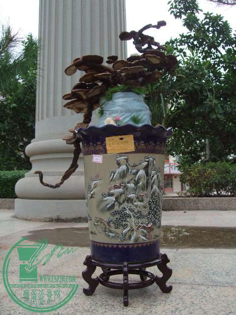 DSCF0061.JPG