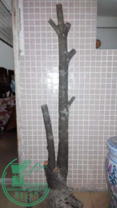 1063KKU%NL4I$]H`(D5YC3H.jpg