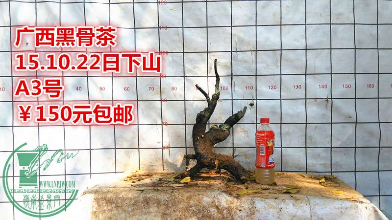 IMG_20151022_135901_.jpg