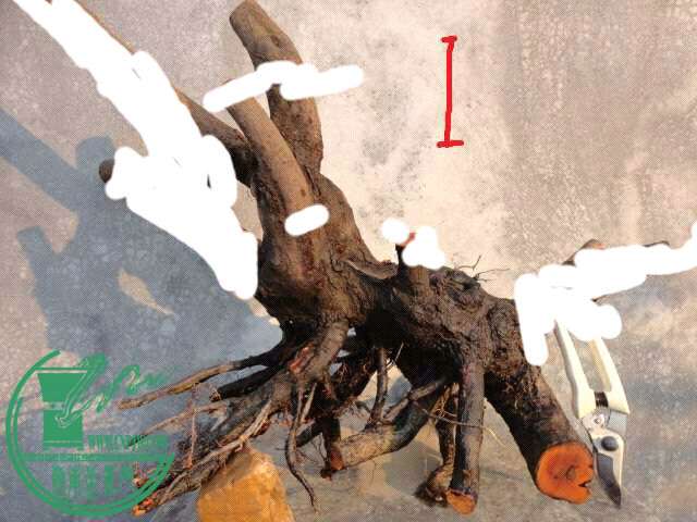 1445509554402.jpg