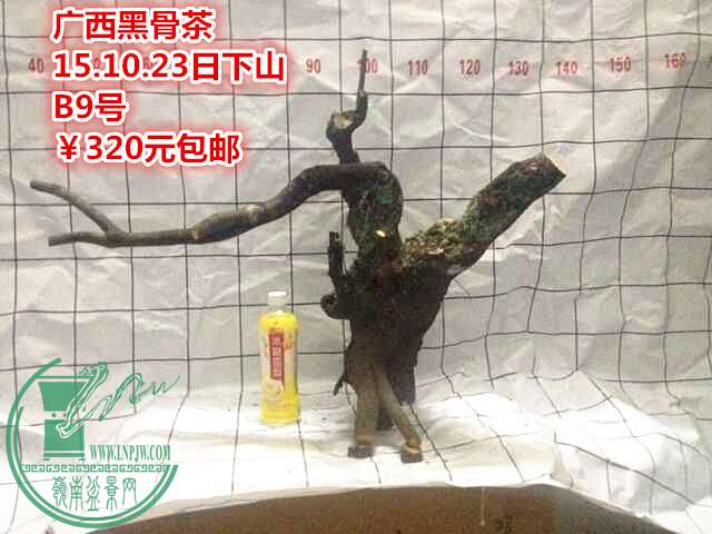 11_.jpg