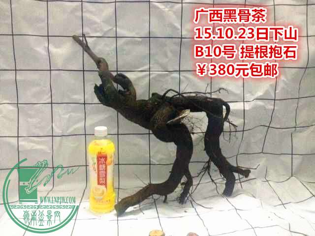 13_.jpg
