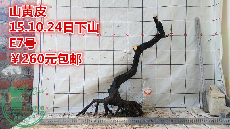 IMG_20151024_141159_.jpg
