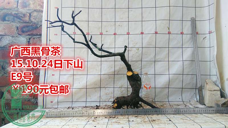 IMG_20151024_141431_.jpg
