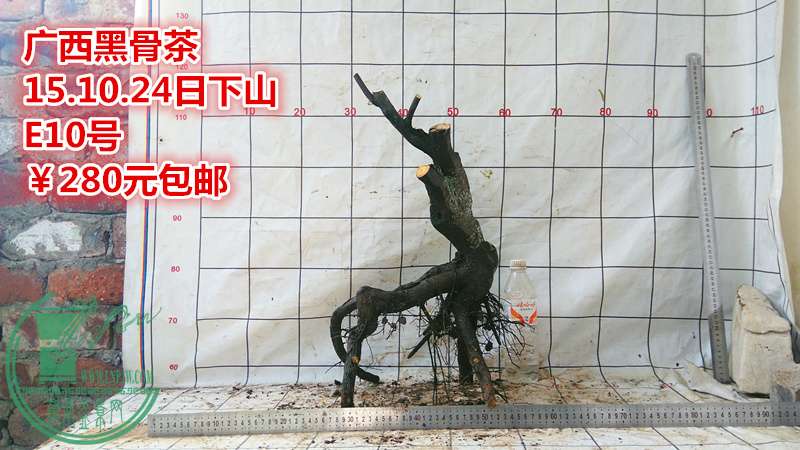 IMG_20151024_141543_.jpg