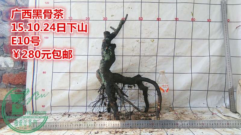 IMG_20151024_141608_.jpg