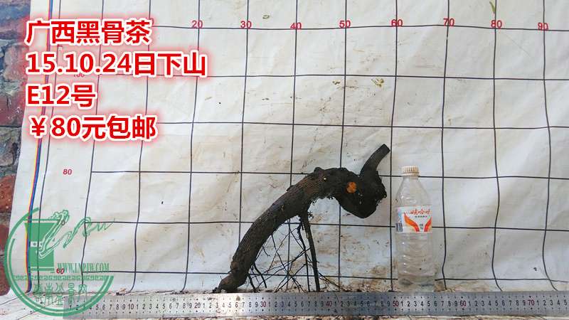 IMG_20151024_141806_.jpg
