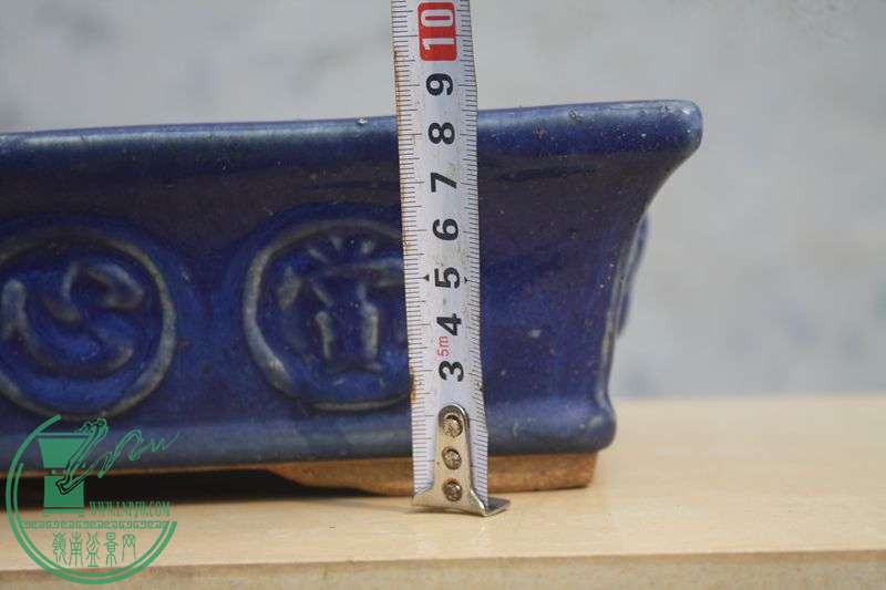 Ƭ20131026ۺ 3923.jpg
