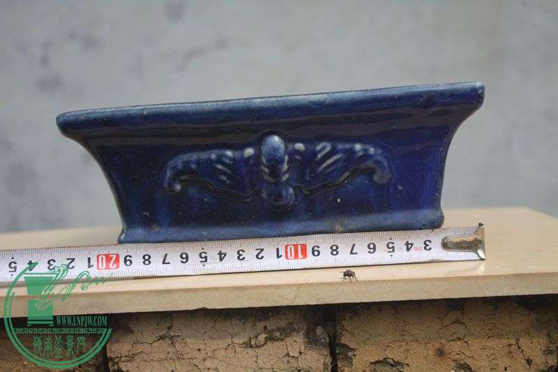 Ƭ20131026ۺ 3926.jpg