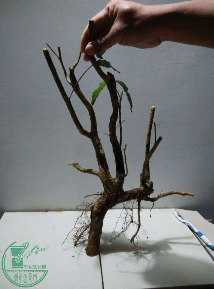 QQͼƬ20151025220205.jpg