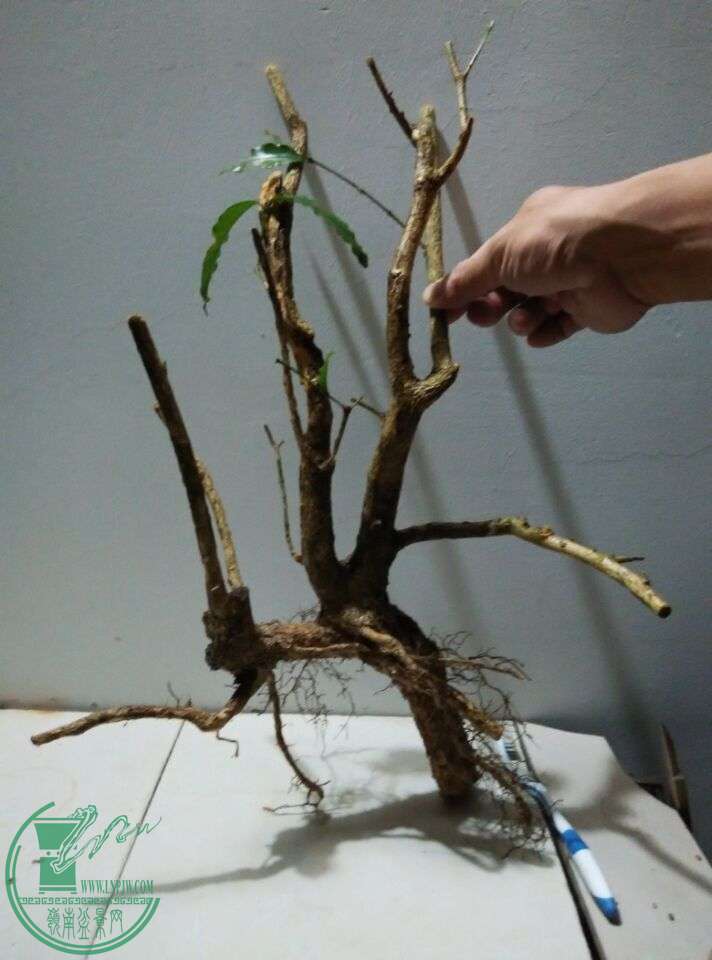 QQͼƬ20151025220152.jpg