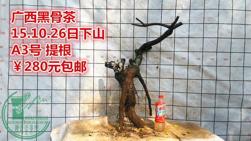 IMG_20151026_141800_.jpg