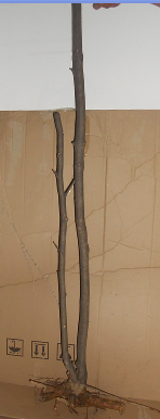 QQͼƬ20151026210855.png