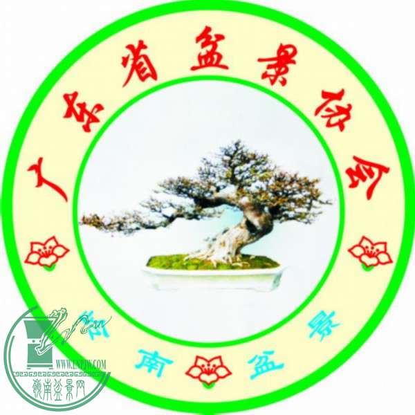 辰Э logo.jpg